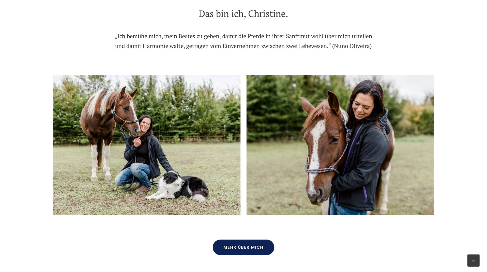 Webdesign in Straubing für Pferde Therapeut